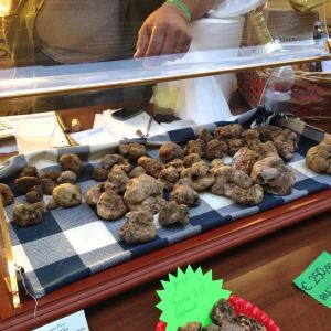 Tartufi